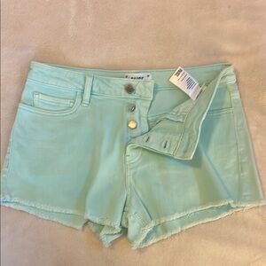 Mint Green Women's Shorts